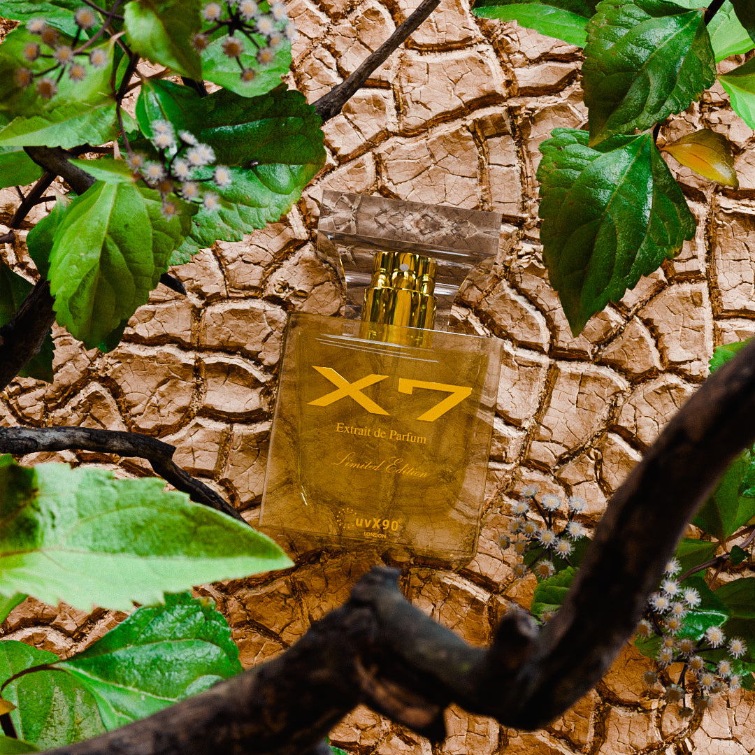 X7 Parfum Limited Edition (50ML EDP)